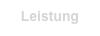 Leistung