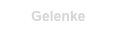 Gelenke